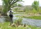 An angler on the Tomichi Creek.